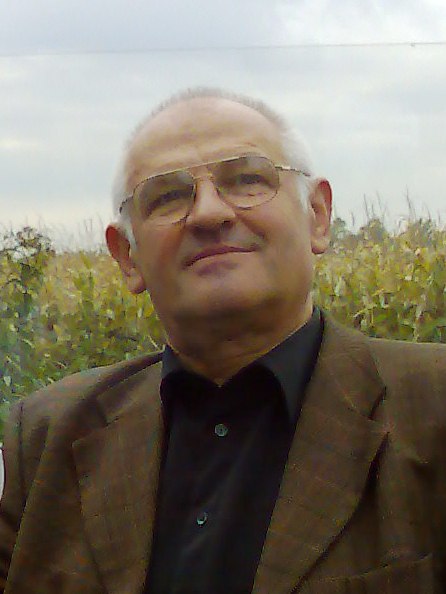 kép